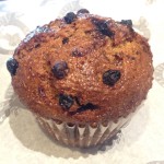 Blueberry Muffin